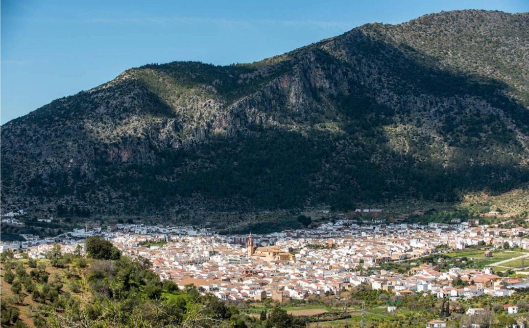 Casa Apartamento Terrazas De Algodonales Kültér fotó